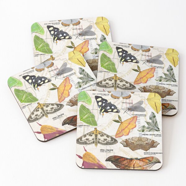 Item preview, Lepidoptera of North America Science Moth Vintage Map Diagram  designed and sold by wesleykshaver.