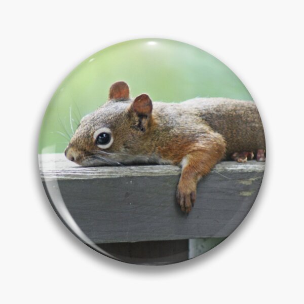 Item preview, Sunbathing Serenity: Squirrel's Relaxing Retreat designed and sold by Tasharoni.