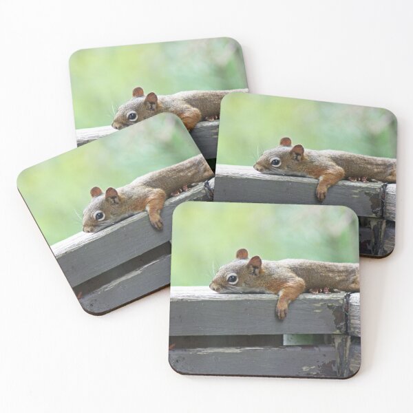 Item preview, Sunbathing Serenity: Squirrel's Relaxing Retreat designed and sold by Tasharoni.