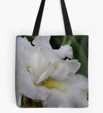 translucent Tote Bag