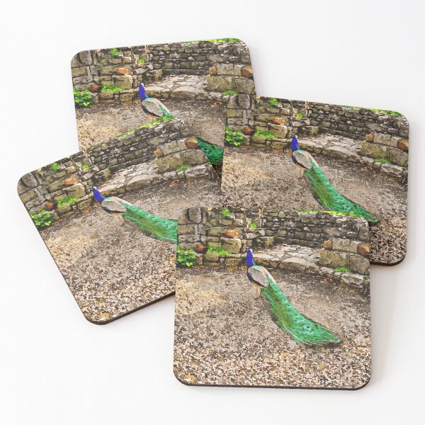 Item preview, Beautiful peacock in a rustic stone courtyard setting designed and sold by GestaltImagery.