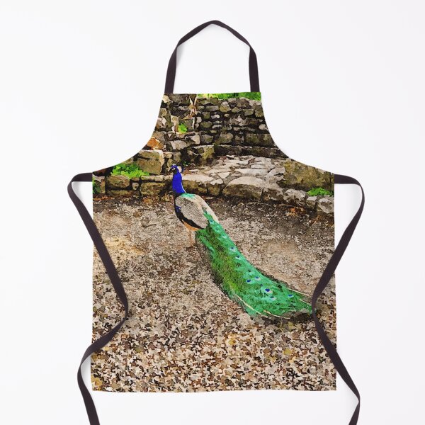 Item preview, Beautiful peacock in a rustic stone courtyard setting designed and sold by GestaltImagery.