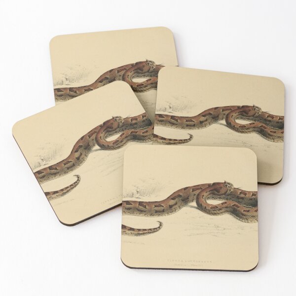 Item preview, Vintage Viper Scientific Illustration Venomous Snake designed and sold by InnerCitadel.