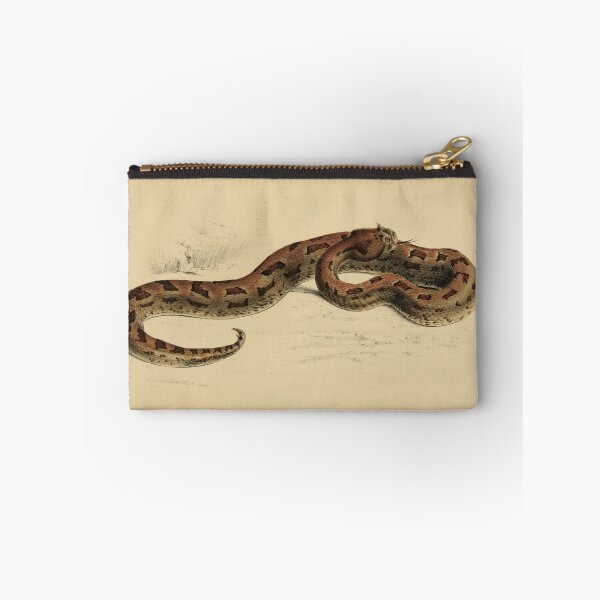 Item preview, Vintage Viper Scientific Illustration Venomous Snake designed and sold by InnerCitadel.