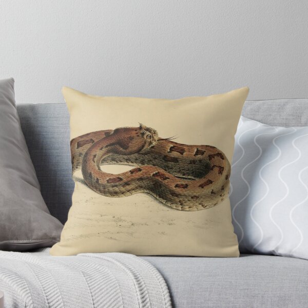 Item preview, Vintage Viper Scientific Illustration Venomous Snake designed and sold by InnerCitadel.