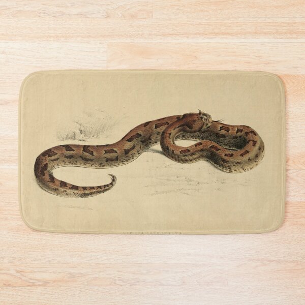 Item preview, Vintage Viper Scientific Illustration Venomous Snake designed and sold by InnerCitadel.