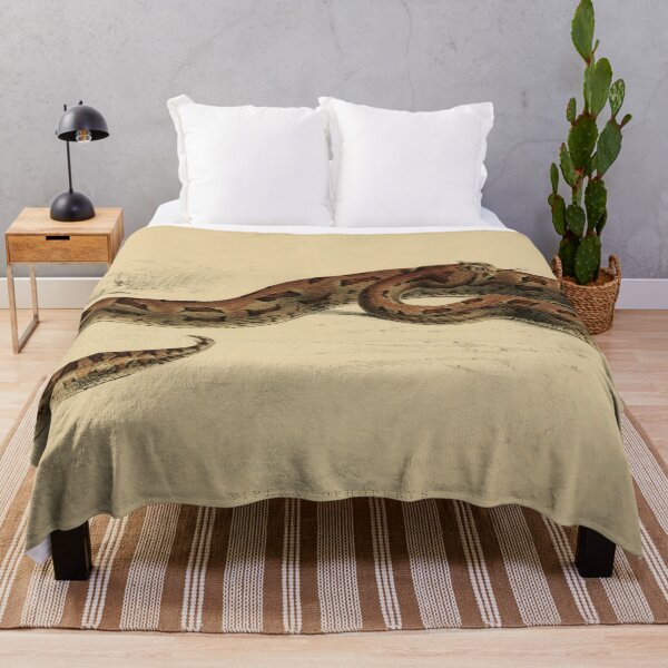 Item preview, Vintage Viper Scientific Illustration Venomous Snake designed and sold by InnerCitadel.