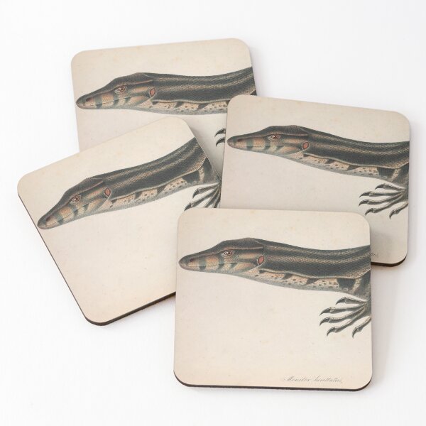 Item preview, Monitor Lizard Vintage Scientific Illustration For Collectors designed and sold by InnerCitadel.