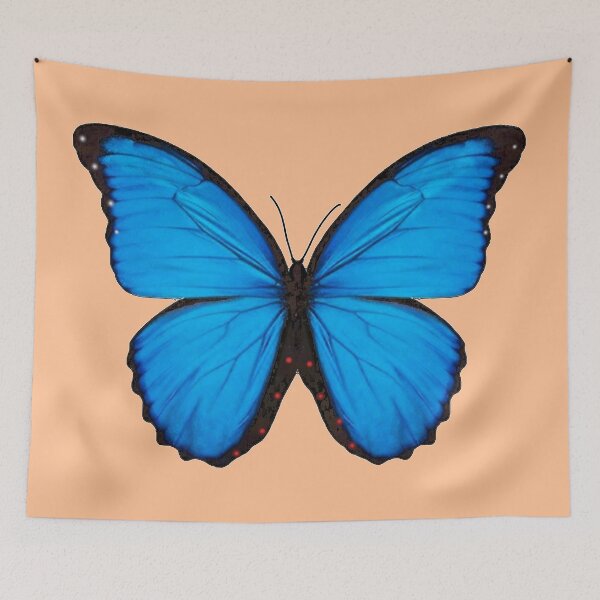 Item preview, Exotic and pretty butterfly morfo designed and sold by paisajetropical.