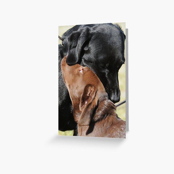 Don't tell anybody I told you ! Greeting Card