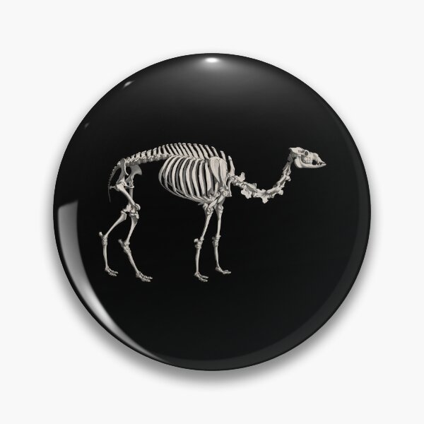 Item preview, Camel Skeleton Anatomical Vintage Scientific Illustration designed and sold by InnerCitadel.