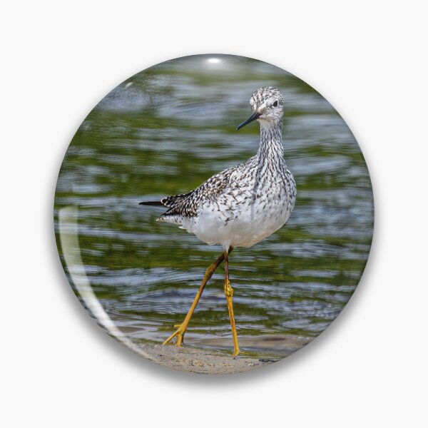 Item preview, Willet working the Beach designed and sold by Your search is over, it’s here! .
