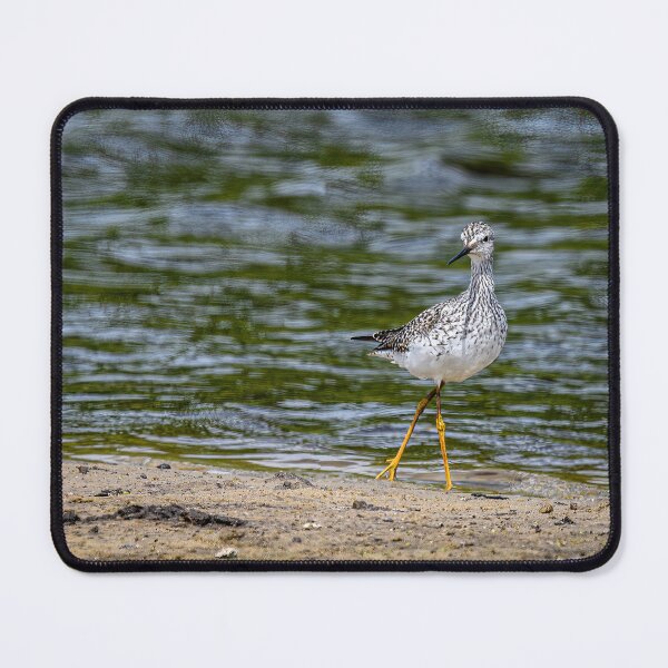 Item preview, Willet working the Beach designed and sold by Your search is over, it’s here! .