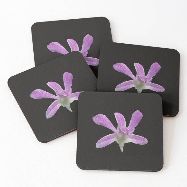 Item preview, Orchid Flower | Tropical Botanical Clipart & Floral Aesthetic Design designed and sold by Ceylon380.