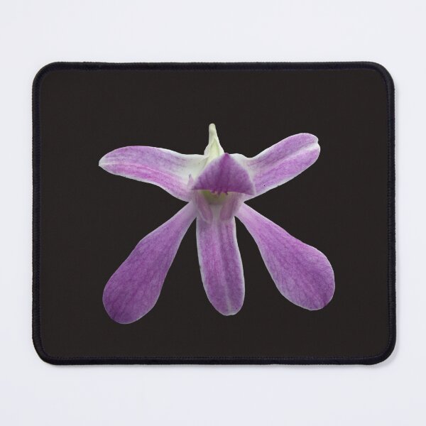 Item preview, Orchid Flower  Elegant Botanical Floral Design designed and sold by Ceylon380.