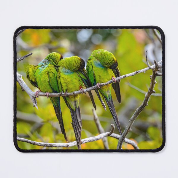 Item preview, Nobody look at the Camera! designed and sold by Your search is over, it’s here! .