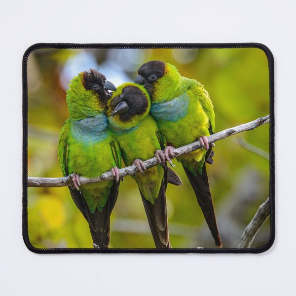 Item preview, Love Fest designed and sold by Your search is over, it’s here! .