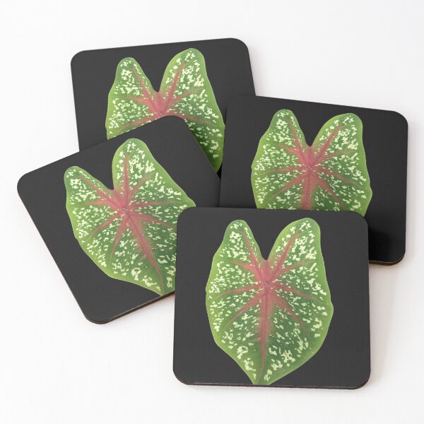Item preview, Stylish natural leaf designed and sold by Ceylon380.