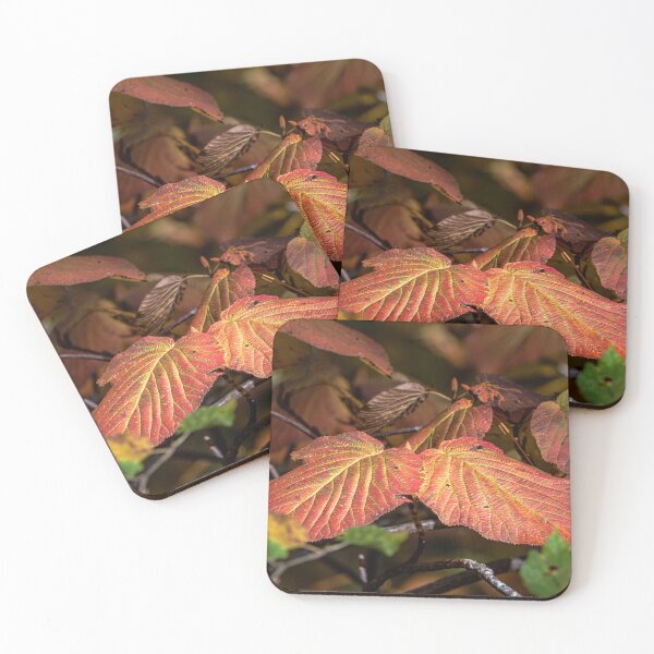 Item preview, Natural Perfection designed and sold by Your search is over, it’s here! .