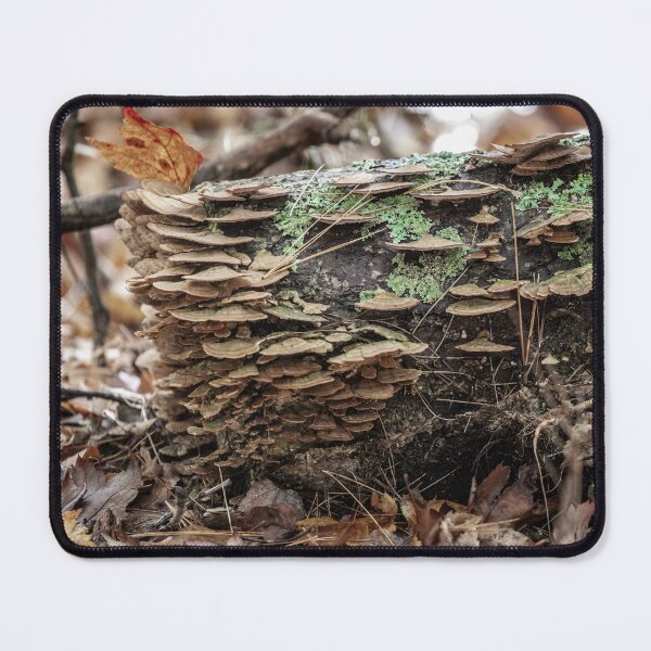 Item preview, 1 of 144,000  designed and sold by Your search is over, it’s here! .