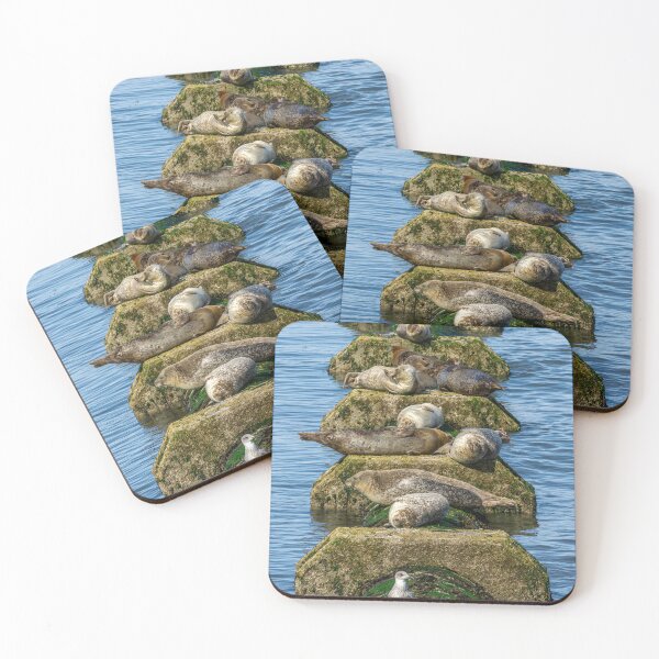 Item preview, Seals Basking on a Pipe designed and sold by Lakadaisy.