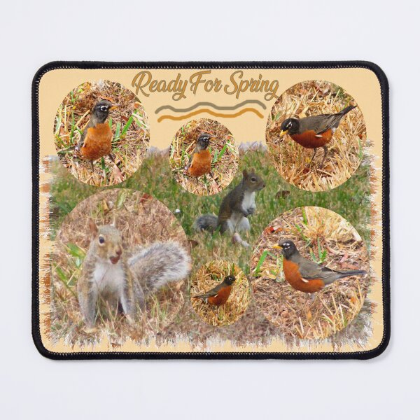 Item preview, Ready For Spring, Robins and Squirrels Photo Collage designed and sold by kristalcurt.