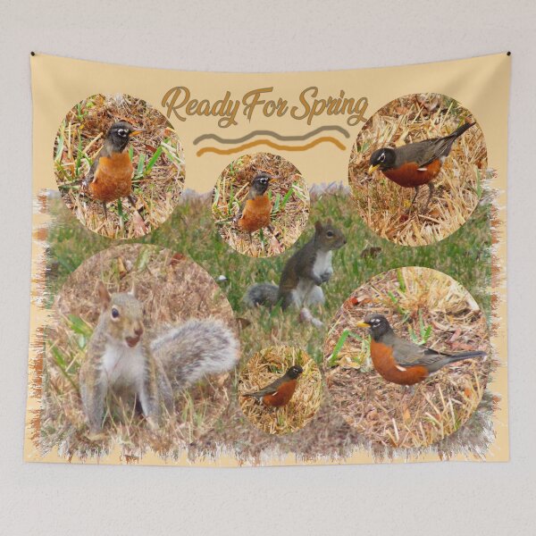Item preview, Ready For Spring, Robins and Squirrels Photo Collage designed and sold by kristalcurt.