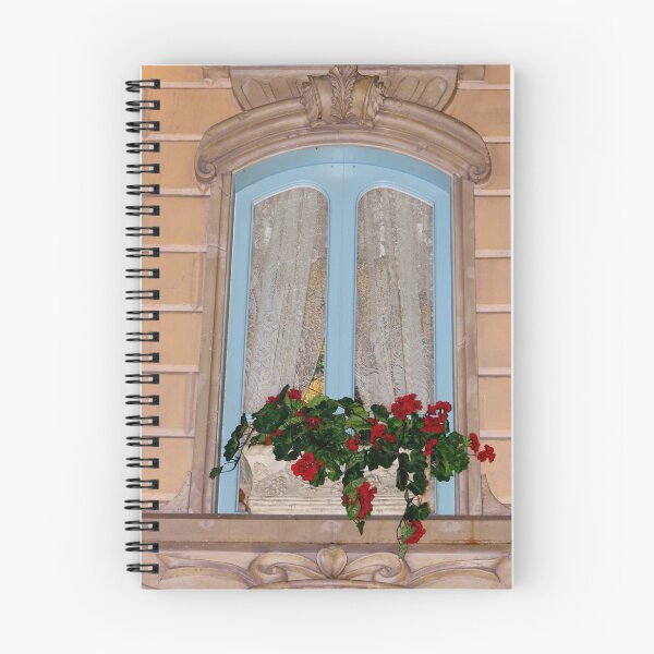 Item preview, Blue Window And Red Flowers designed and sold by Cynthia48.