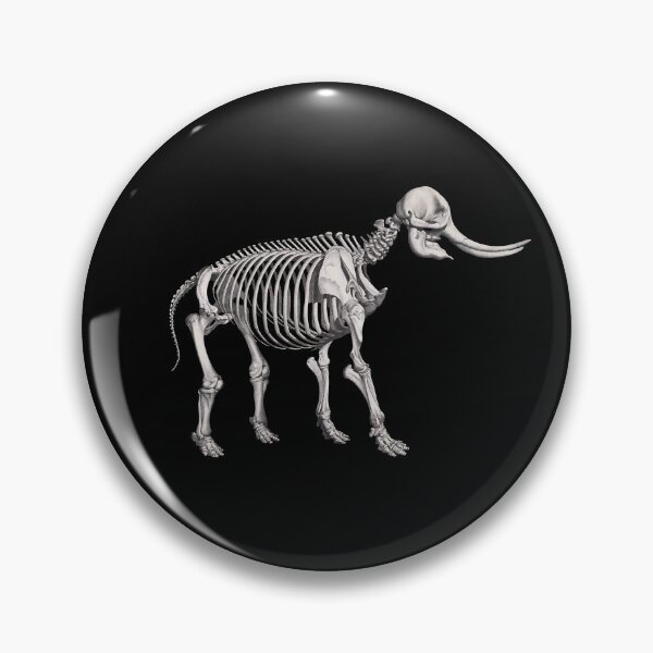 Item preview, Elephant Skeleton Anatomical Vintage Scientific Illustration designed and sold by InnerCitadel.