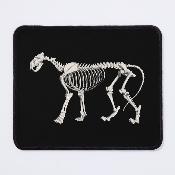 Item preview, Lion Skeleton Anatomical Vintage Scientific Illustration designed and sold by InnerCitadel.