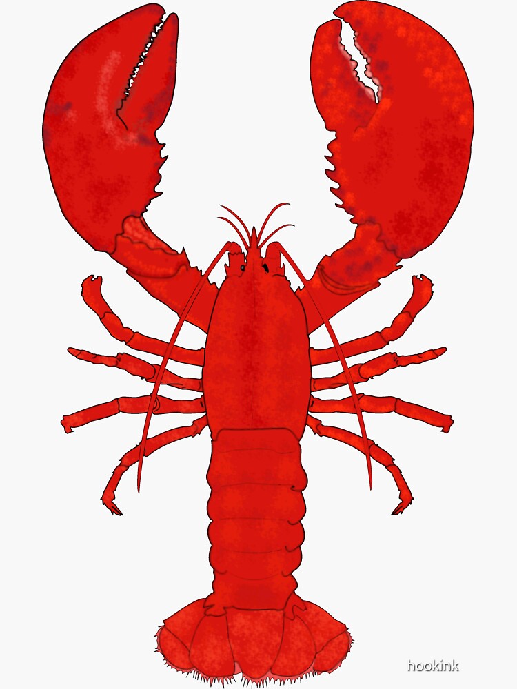 "Lobster" Sticker for Sale by hookink Redbubble