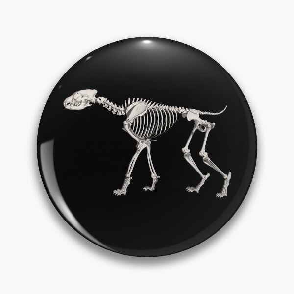 Item preview, Hyena Skeleton Anatomical Vintage Scientific Illustration designed and sold by InnerCitadel.