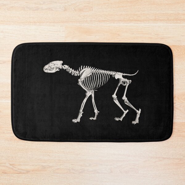 Item preview, Hyena Skeleton Anatomical Vintage Scientific Illustration designed and sold by InnerCitadel.