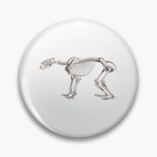 Item preview, Bear Skeleton Anatomical Vintage Scientific Illustration designed and sold by InnerCitadel.
