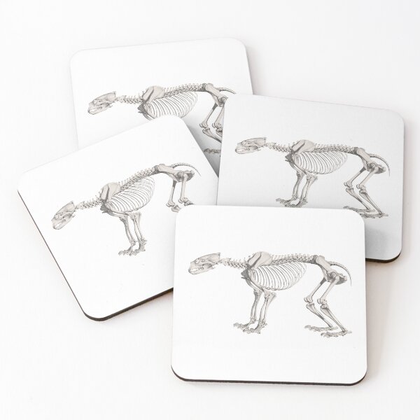 Item preview, Bear Skeleton Anatomical Vintage Scientific Illustration designed and sold by InnerCitadel.