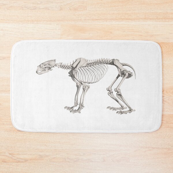 Item preview, Bear Skeleton Anatomical Vintage Scientific Illustration designed and sold by InnerCitadel.