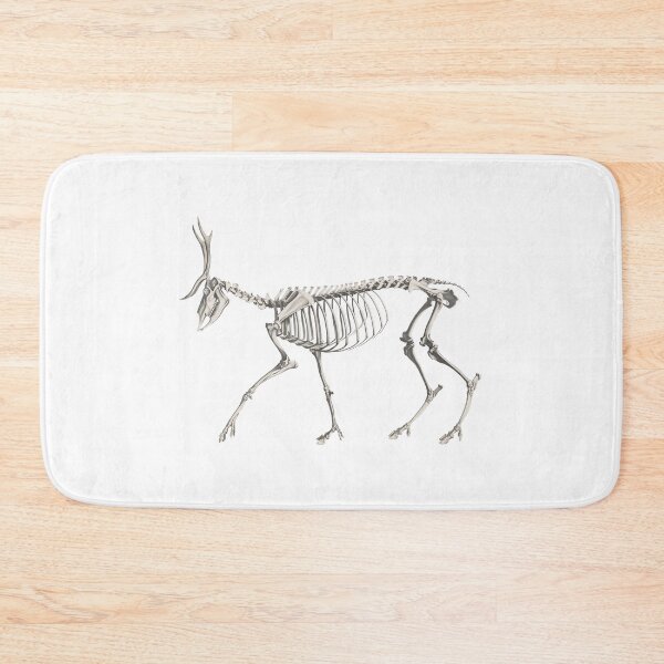 Item preview, Deer Skeleton Anatomical Vintage Scientific Illustration designed and sold by InnerCitadel.