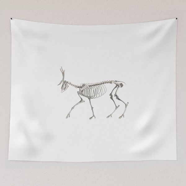 Item preview, Deer Skeleton Anatomical Vintage Scientific Illustration designed and sold by InnerCitadel.
