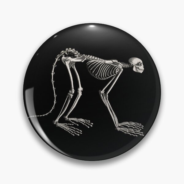 Item preview, Monkey Skeleton Anatomical Vintage Scientific Illustration designed and sold by InnerCitadel.
