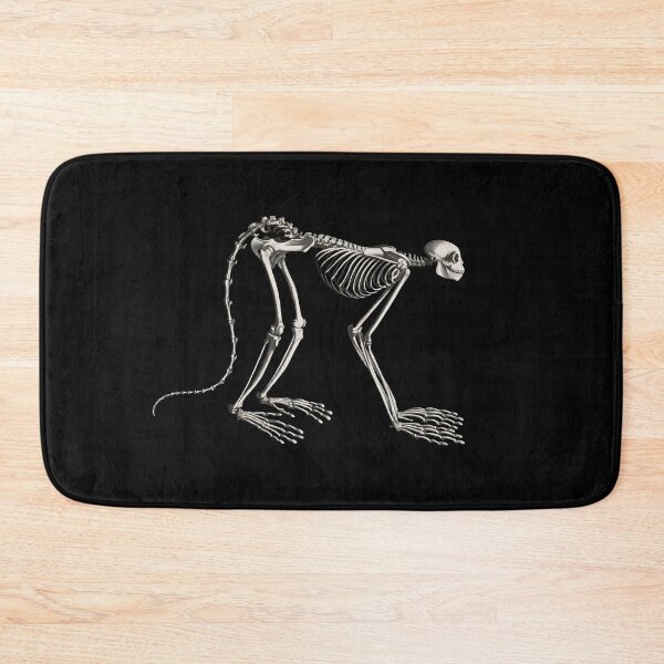 Item preview, Monkey Skeleton Anatomical Vintage Scientific Illustration designed and sold by InnerCitadel.