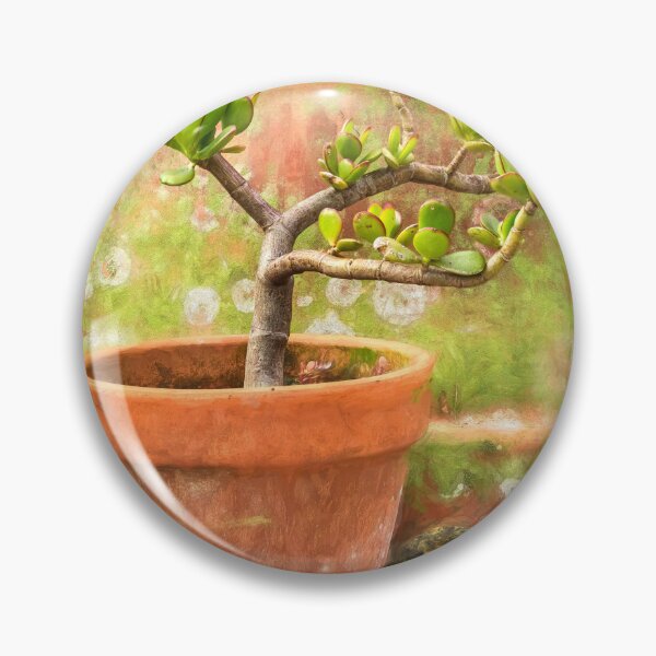 Item preview, Jade Plant Crassula Variegata X100 designed and sold by RichFrancoCars.