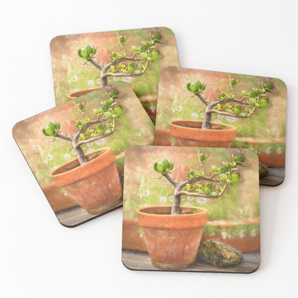 Item preview, Jade Plant Crassula Variegata X100 designed and sold by RichFrancoCars.