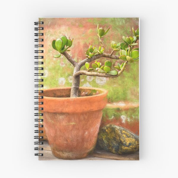 Item preview, Jade Plant Crassula Variegata X100 designed and sold by RichFrancoCars.
