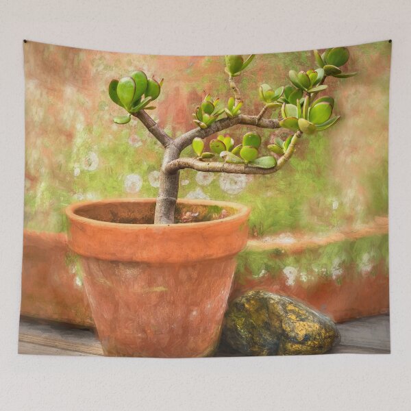 Item preview, Jade Plant Crassula Variegata X100 designed and sold by RichFrancoCars.
