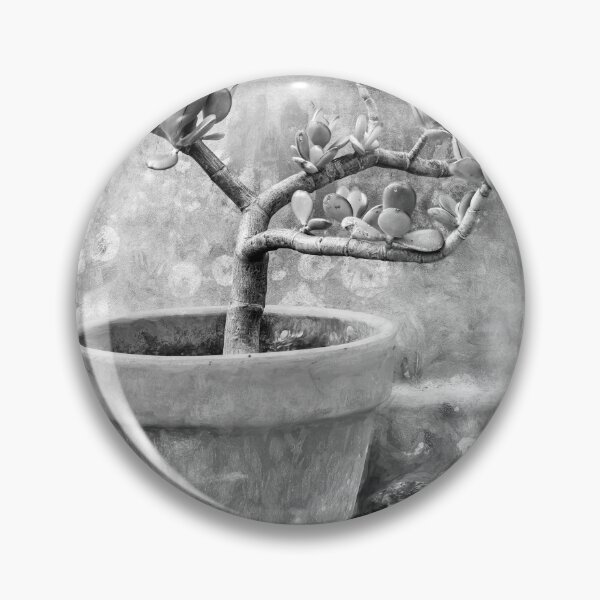 Item preview, Jade Plant Crassula Variegata X101 designed and sold by RichFrancoCars.