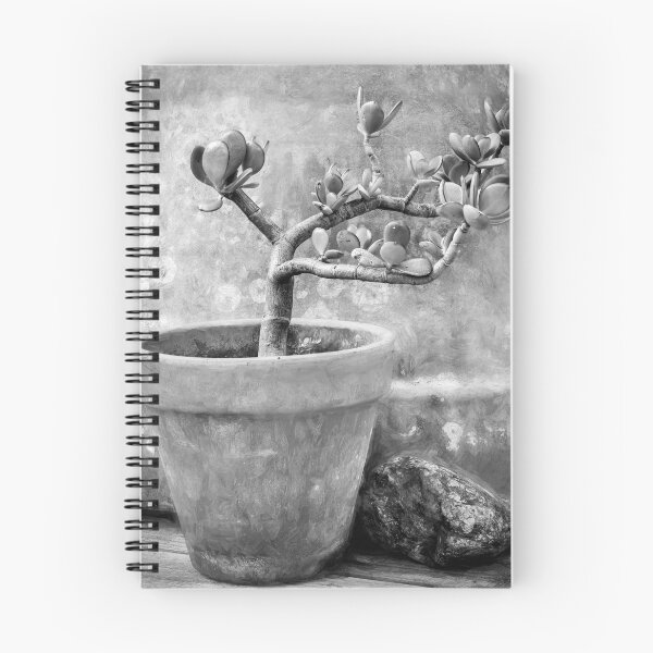Item preview, Jade Plant Crassula Variegata X101 designed and sold by RichFrancoCars.