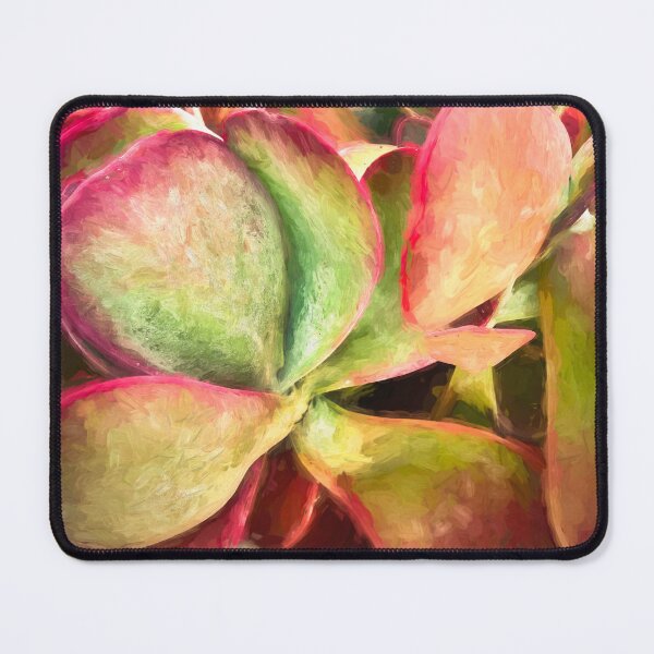 Item preview, Flapjack Plant Kalanchoe X100 designed and sold by RichFrancoCars.