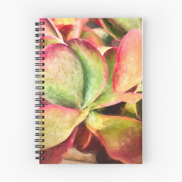Item preview, Flapjack Plant Kalanchoe X100 designed and sold by RichFrancoCars.