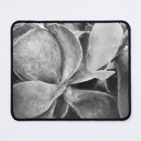Item preview, Flapjack Plant Kalanchoe X101 designed and sold by RichFrancoCars.