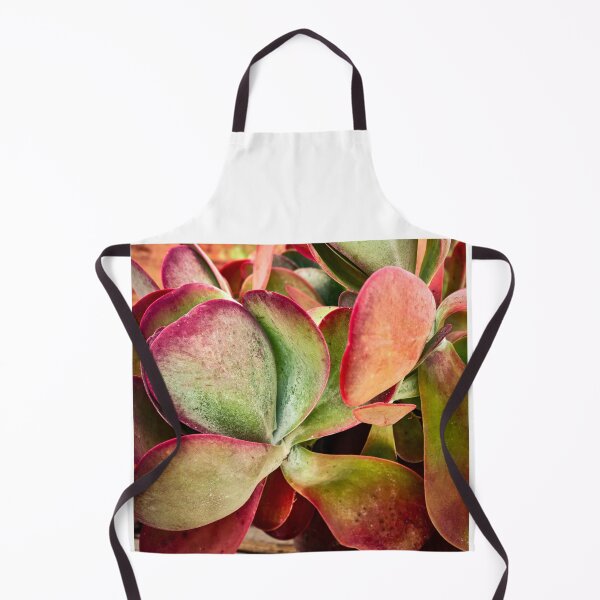 Item preview, Flapjack Plant Kalanchoe X102 designed and sold by RichFrancoCars.